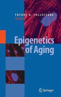 bokomslag Epigenetics of Aging