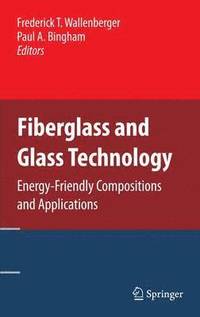 bokomslag Fiberglass and Glass Technology