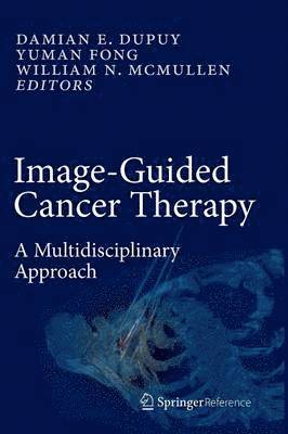 bokomslag Image-Guided Cancer Therapy