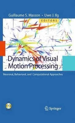 Dynamics of Visual Motion Processing 1