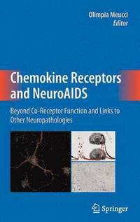bokomslag Chemokine Receptors and NeuroAIDS
