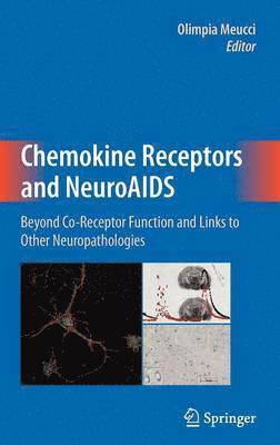 Chemokine Receptors and NeuroAIDS 1