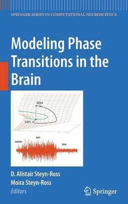 bokomslag Modeling Phase Transitions in the Brain