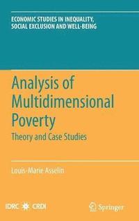 bokomslag Analysis of Multidimensional Poverty