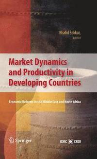 bokomslag Market Dynamics and Productivity in Developing Countries