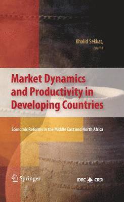Khalid Sekkat - Market Dynamics and Productivity in Developing Countries, Inbunden