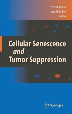 Cellular Senescence and Tumor Suppression 1