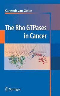 bokomslag The Rho GTPases in Cancer