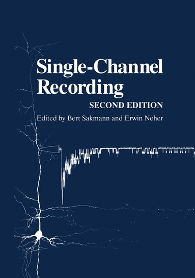 bokomslag Single-Channel Recording