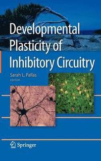 bokomslag Developmental Plasticity of Inhibitory Circuitry