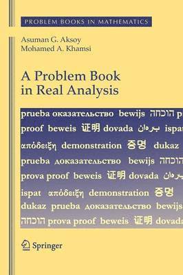 Asuman G. Aksoy, Mohamed A. Khamsi - Problem Book in Real Analysis, Inbunden