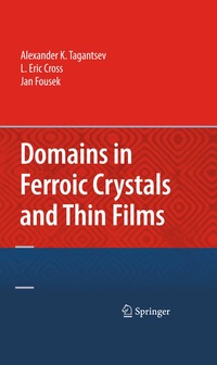 bokomslag Domains in Ferroic Crystals and Thin Films