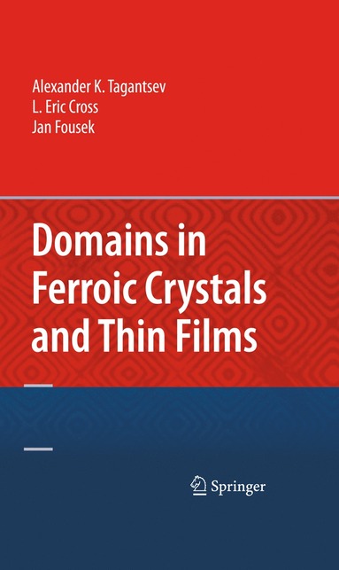 bokomslag Domains in Ferroic Crystals and Thin Films