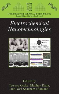 Electrochemical Nanotechnologies 1