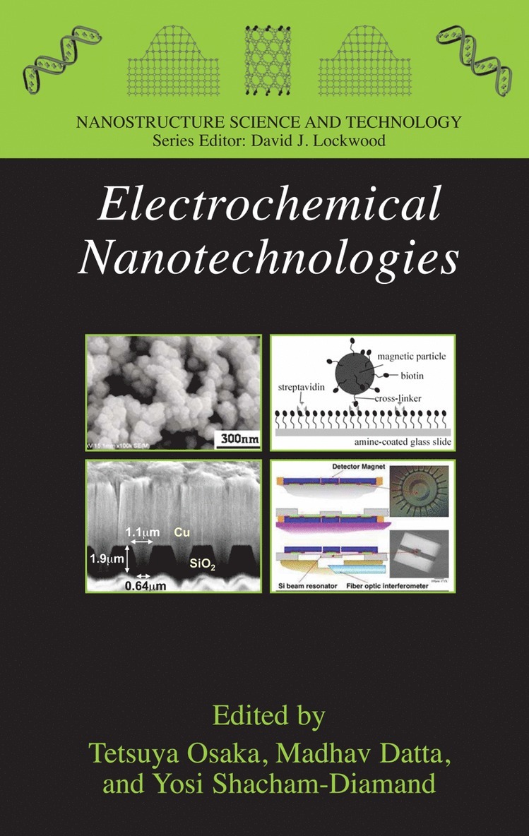 Electrochemical Nanotechnologies 1