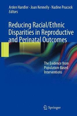 bokomslag Reducing Racial/Ethnic Disparities in Reproductive and Perinatal Outcomes