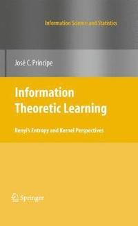 bokomslag Information Theoretic Learning