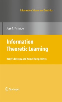 bokomslag Information Theoretic Learning