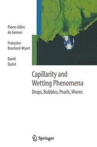 bokomslag Capillarity and Wetting Phenomena