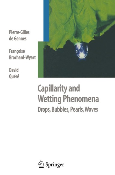 bokomslag Capillarity and Wetting Phenomena