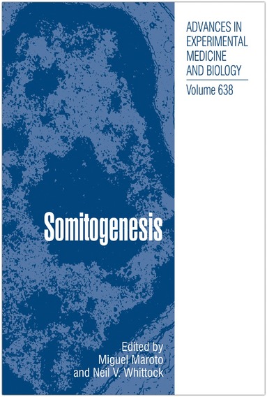 bokomslag Somitogenesis