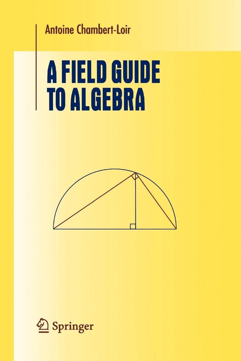 A Field Guide to Algebra 1