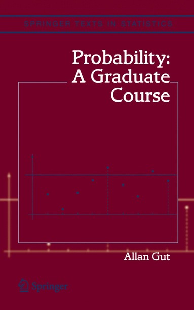 bokomslag Probability: A Graduate Course