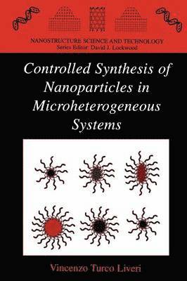 Vincenzo Turco Liveri - Controlled Synthesis of Nanoparticles in Microheterogeneous Systems, Häftad