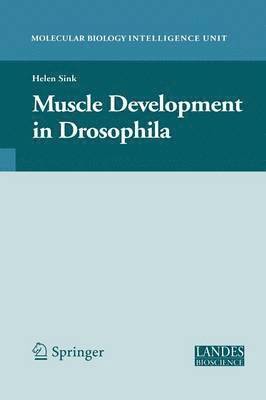 bokomslag Muscle Development in Drosophilia