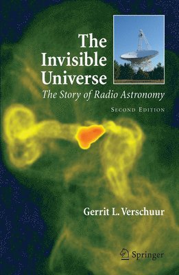 bokomslag The Invisible Universe