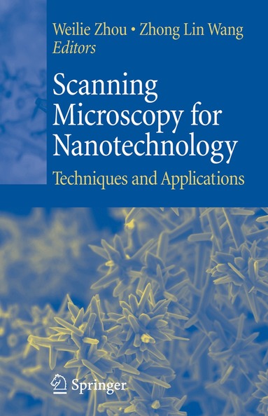 Weilie Zhou, Zhong Lin Wang - Scanning Microscopy for Nanotechnology, Häftad