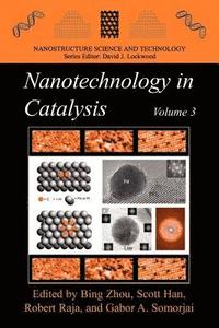 bokomslag Nanotechnology in Catalysis 3