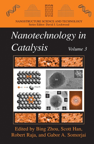 bokomslag Nanotechnology in Catalysis 3