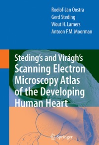 bokomslag Steding's and Virágh's Scanning Electron Microscopy Atlas of the Developing Human Heart