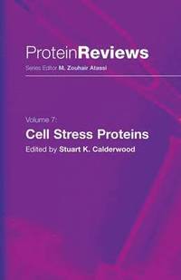 bokomslag Cell Stress Proteins