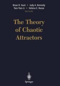 bokomslag The Theory of Chaotic Attractors