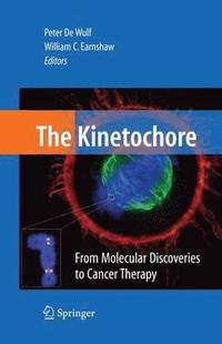 bokomslag The Kinetochore: