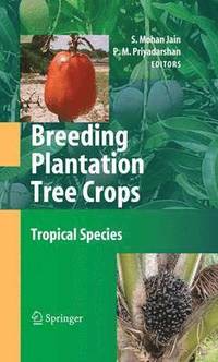 bokomslag Breeding Plantation Tree Crops: Tropical Species