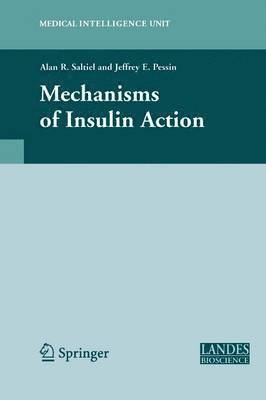 bokomslag Mechanisms of Insulin Action
