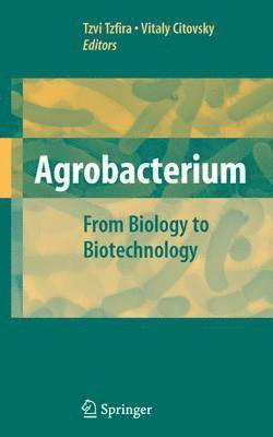 bokomslag Agrobacterium: From Biology to Biotechnology
