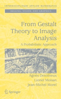 bokomslag From Gestalt Theory to Image Analysis