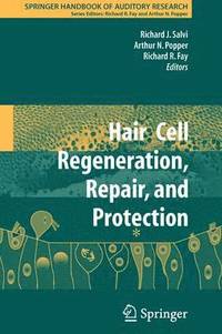 bokomslag Hair Cell Regeneration, Repair, and Protection