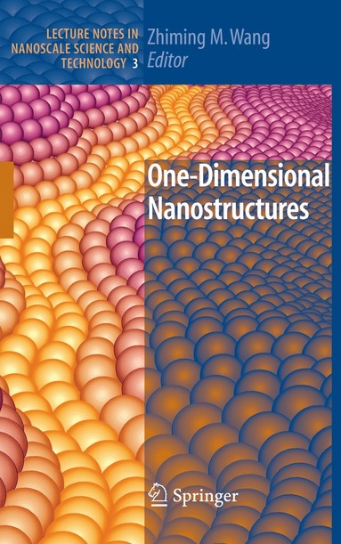 Zhiming M Wang - One-Dimensional Nanostructures, Häftad