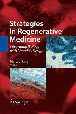 Matteo Santin - Strategies in Regenerative Medicine, Häftad