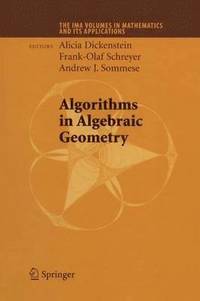 bokomslag Algorithms in Algebraic Geometry
