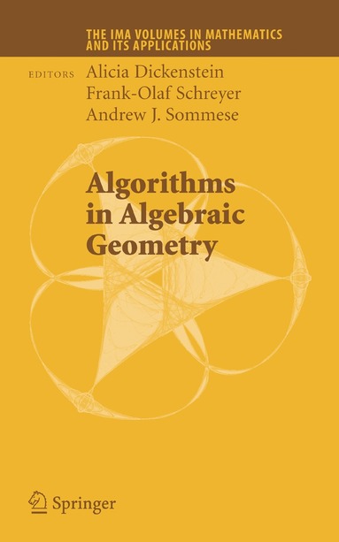 bokomslag Algorithms in Algebraic Geometry