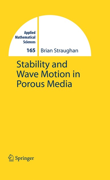 bokomslag Stability and Wave Motion in Porous Media