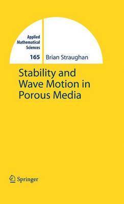 Stability and Wave Motion in Porous Media 1