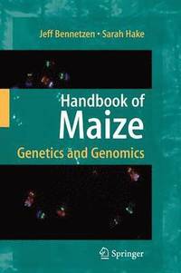 bokomslag Handbook of Maize