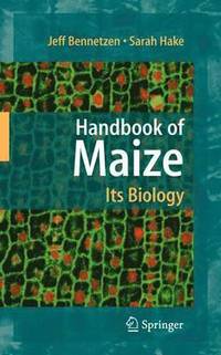bokomslag Handbook of Maize: Its Biology